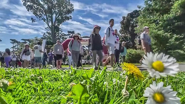 AIDS Walk 