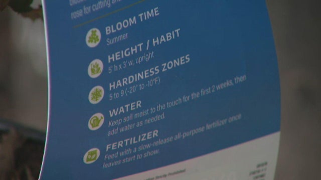 hardiness-zones-thumb.jpg 