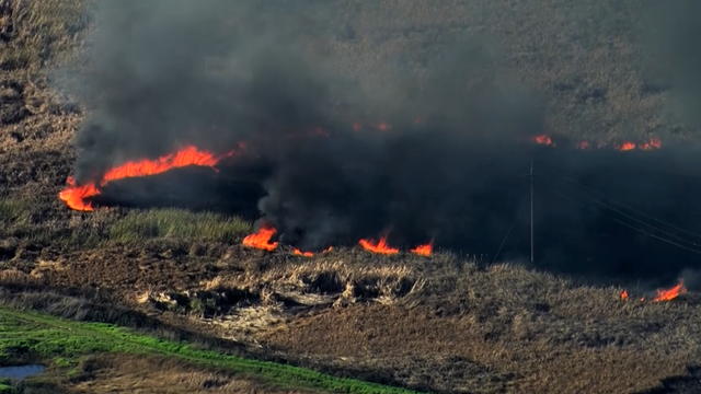 Antioch wetlands fire 