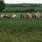 sandy-wills-procession-1280.jpg 
