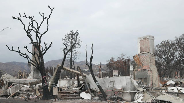 Charred landscape in California 
