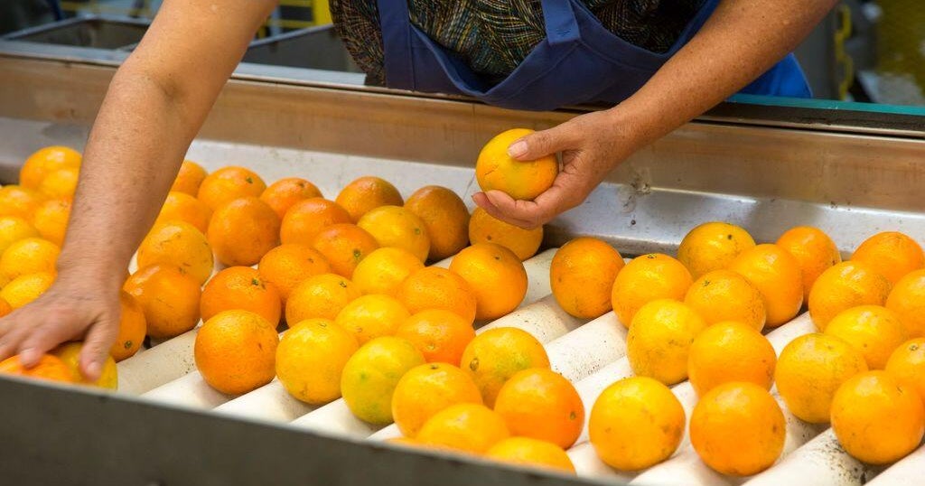 FDA food inspector vacancies near 20% after Trump hiring freeze 